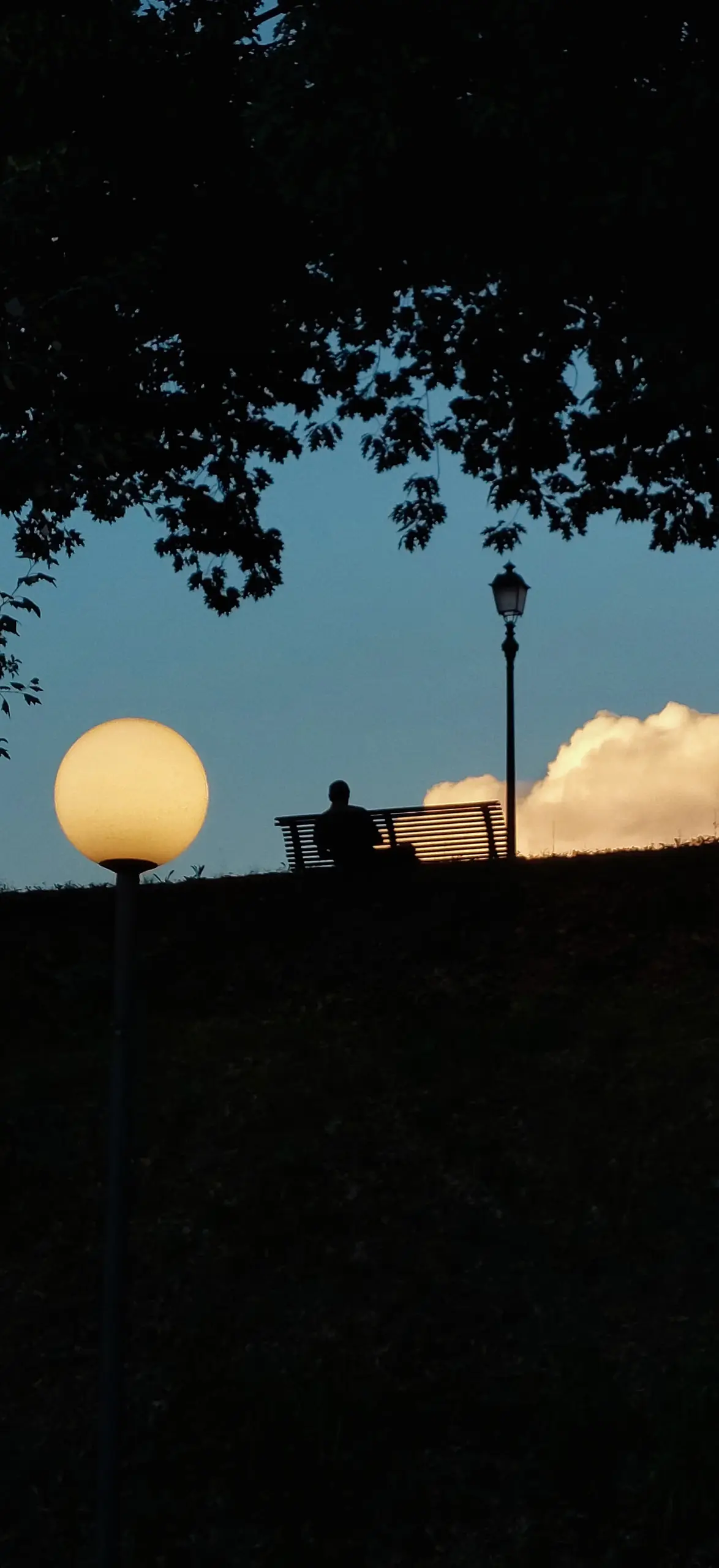 Dusk in a park — a white globe streetlamp glowing under a silhouetted tree, a figure seated on a bench beyond