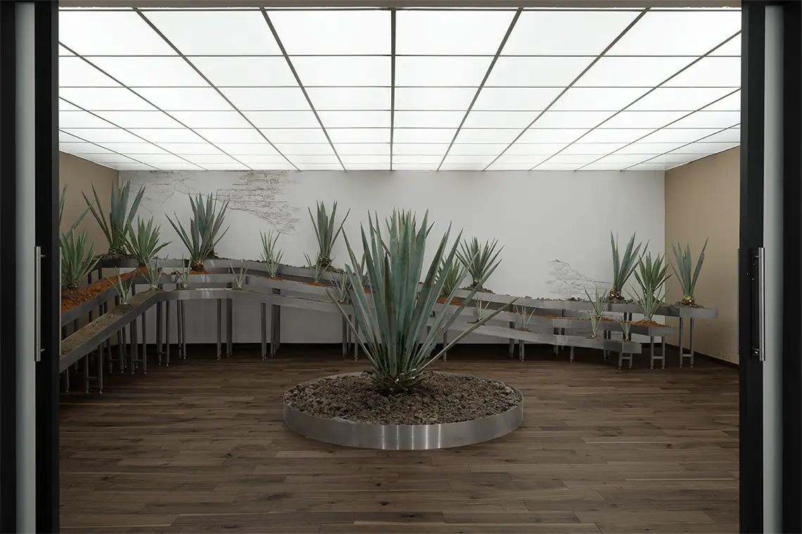 Agave room seen through open doors — a single blue agave planted in a circular steel bed, smaller plants ranged along stepped steel troughs