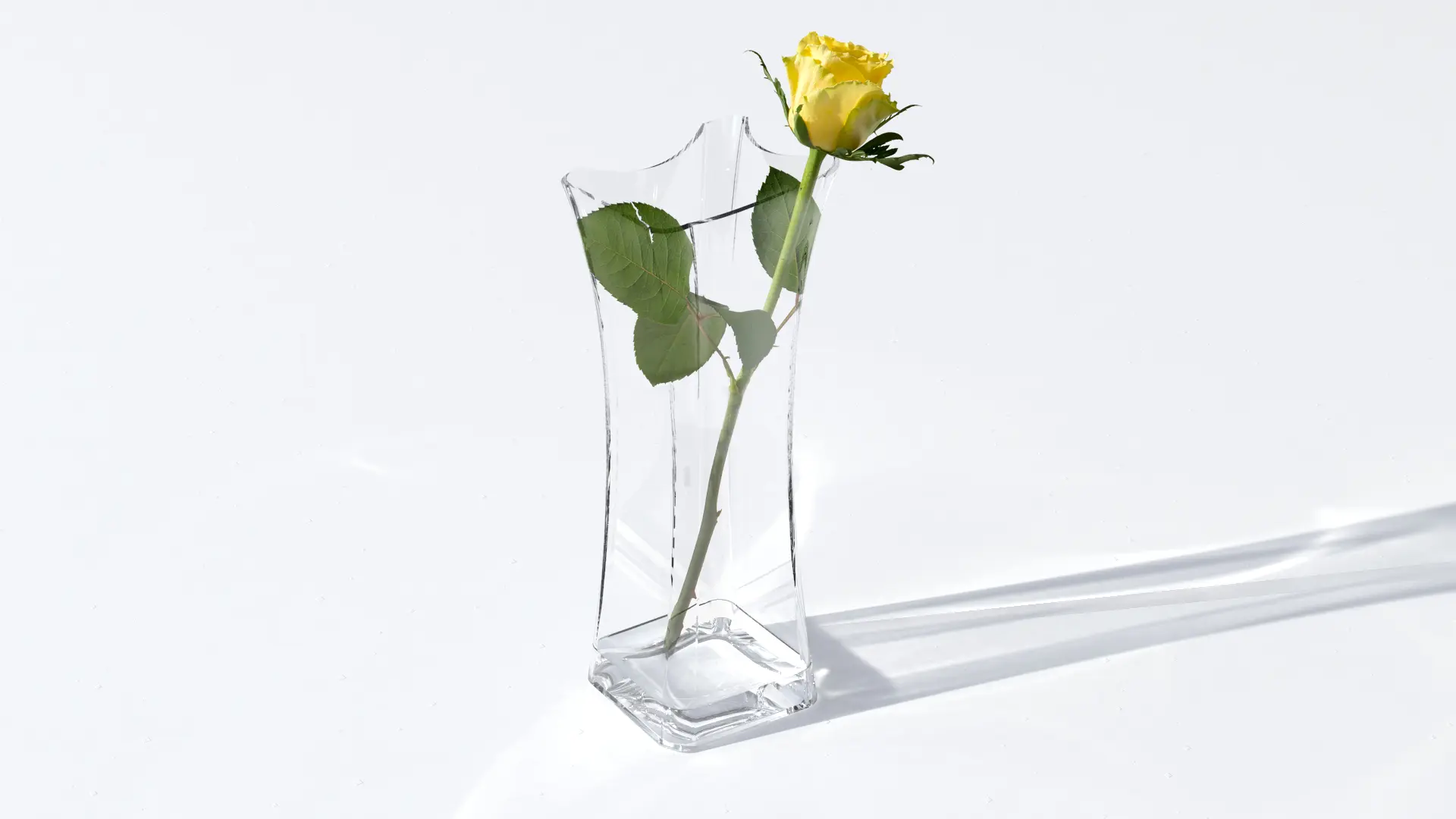 A single yellow rose in the faceted glass vase, shot on white